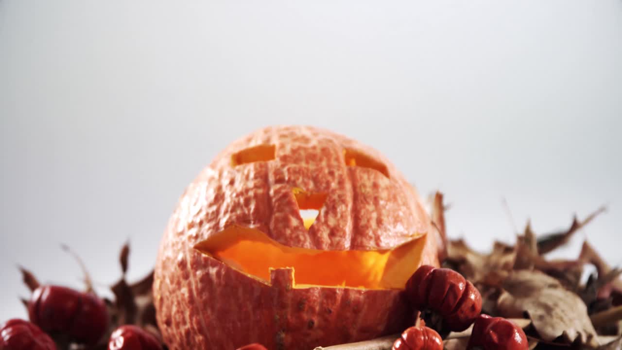 calabaza de halloween con hoja de arce contra un fondo blanco 4k