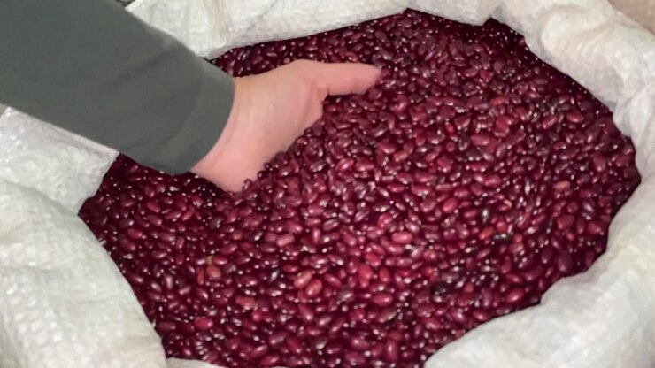 Red beans, , Brazilian traditional cuisine, slow motion