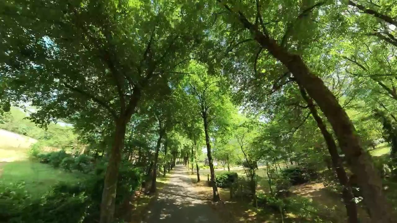 Retiro moderno y ecológico con elegantes cabañas negras anidadas en un bosque frondoso y verde. Destaca la escapada serena y privada que ofrecen la arquitectura sostenible de las cabañas y el entorno natural tranquilo.