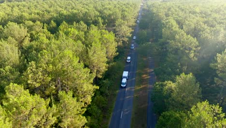 Un-Dron-Sigue-A-Las-Furgonetas-Que-Circulan-Por-Un-Bosque-De-Pinos.