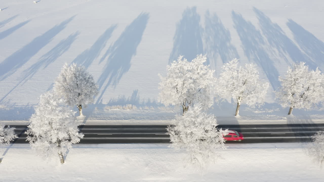 긴 그림자를 드리우는 눈 덮인 나무로 둘러싸인 도로