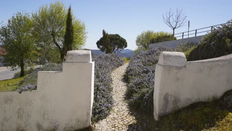 garden inside marvao village in alentejo, portugal