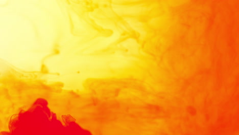 pintura o tinte rojo y naranja caído en el agua contra un fondo blanco para crear un fondo de humo de colores giratorios