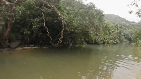 imágenes de gopro de un río en el parque nacional de con dao, vietnam
