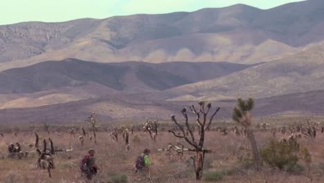 Researchers-From-The-Usgs-Work-With-Endangered-Desert-Tortoises