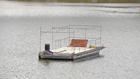 floating pontoon in the fitzroy river, rockhampton