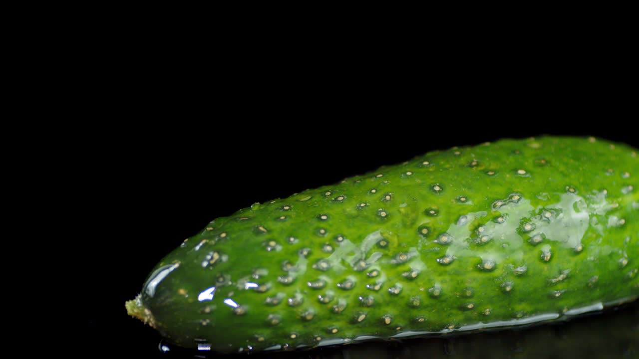 물 위에 신선한 호박 롤.