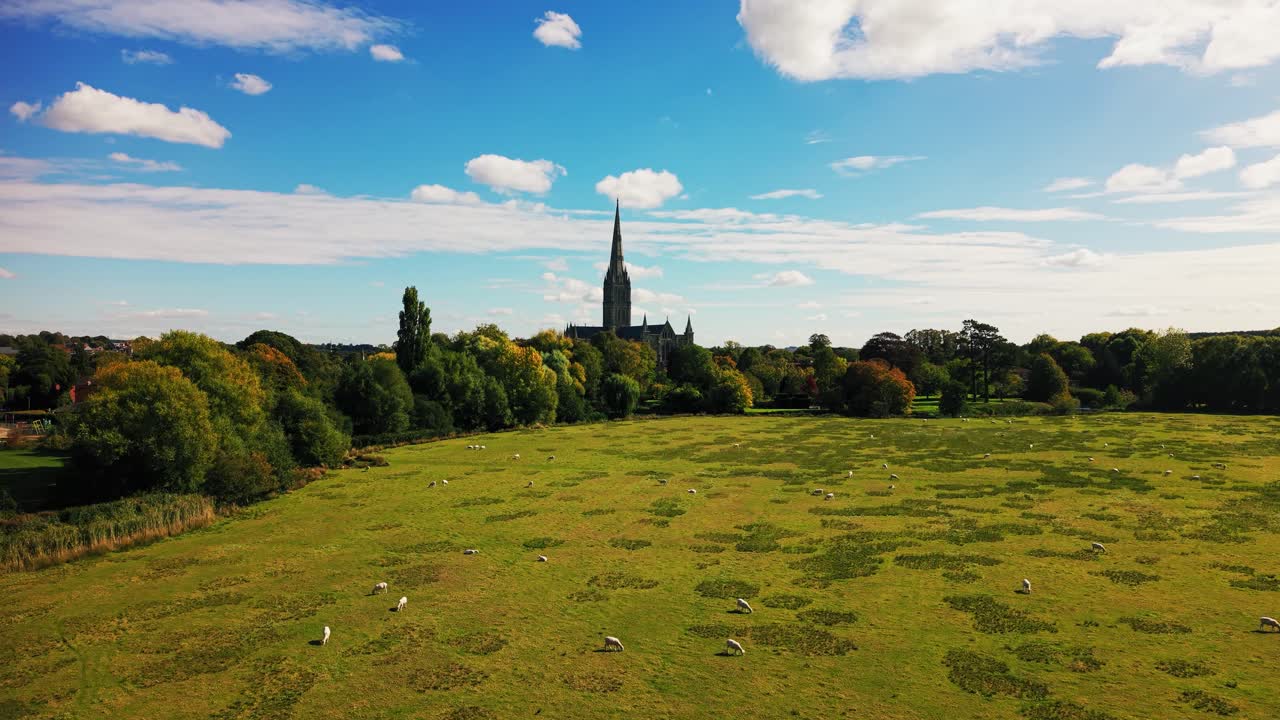 Får græsser på de historiske vandenge nær Salisbury Katedral i Wiltshire, England. Et smukt engelsk landskab med det berømte katedralspir, der rejser sig over træerne under en blå himmel.