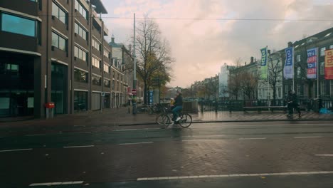 tranquil amsterdam street scene with tram tracks and trees, featuring a mix of modern and historic architecture on a cloudy autumn day