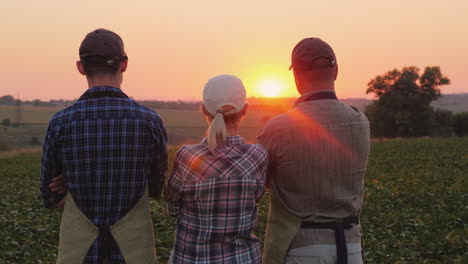 A-Group-Of-Farmers---A-Woman-And-Two-Men-Watching-The-Sunset-Over-The-Field-Family-Agribusinest