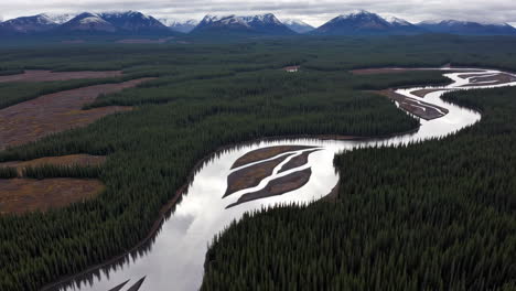 aerial view of a winding river through a coniferous forest with mountains in the background