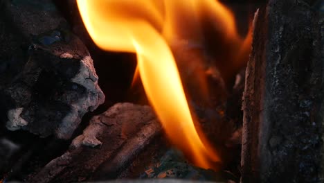 fuego de parrilla de carbón