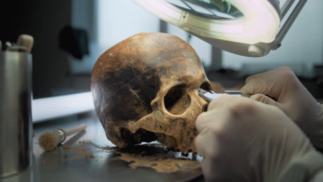 scientist examining an ancient skull in a laboratory