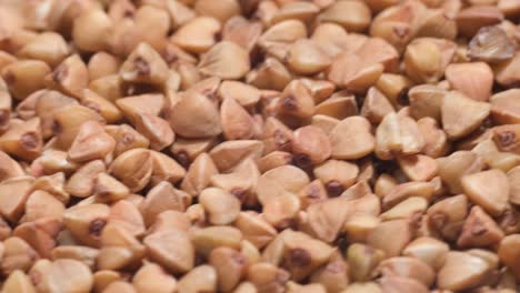 Buckwheat seeds