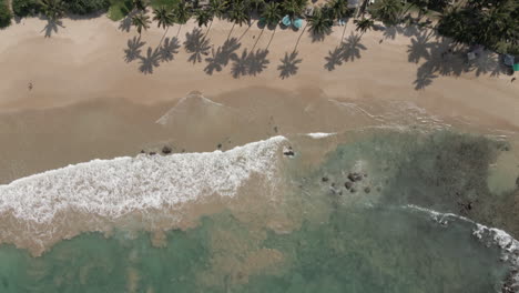 Palm-tree-shadows-on-tropical-ocean-sandy-crescent-beach,-gentle-waves