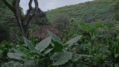 una toma en planta de las exuberantes vegetaciones verdes y una choza de paja