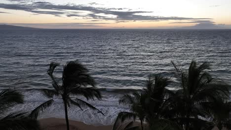 Vögel-Fliegen-über-Wehenden-Palmen-Im-Süden-Von-Maui,-Hawaii