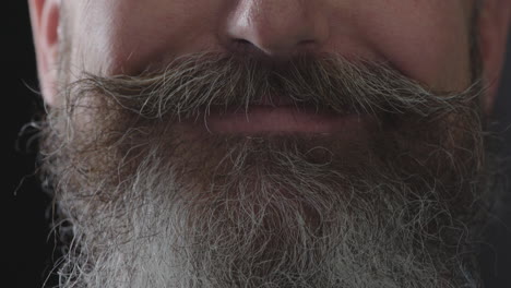 close up of bearded man mouth smiling cheerful grey facial hair