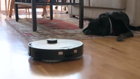 an autonomous robot vacuum cleaner cleans a hardwood floor as it passes by a black dog lying in the living room