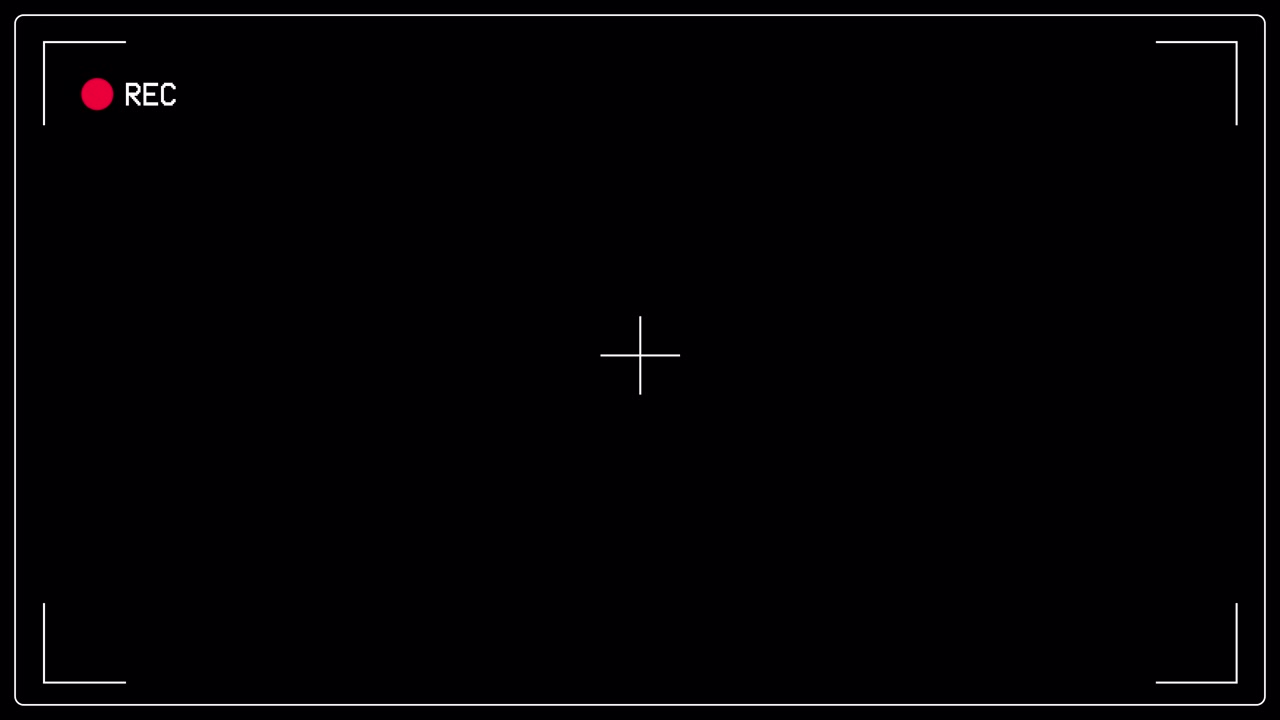 Digital Camera Viewfinder Overlay with Recording Indicator