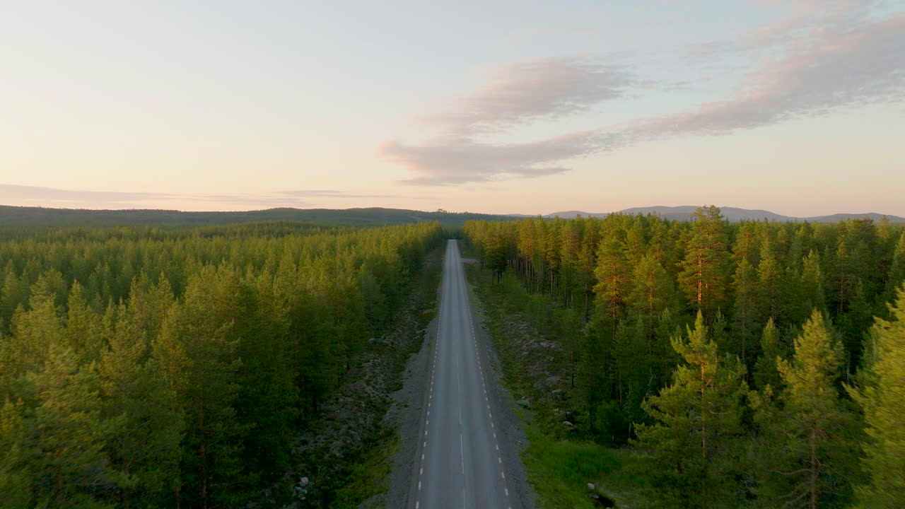 vista aérea del corte de carreteras a través del bosque de abetos en el campo de suecia