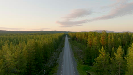 aerial view of road cutting through spruce forest in countryside of sweden