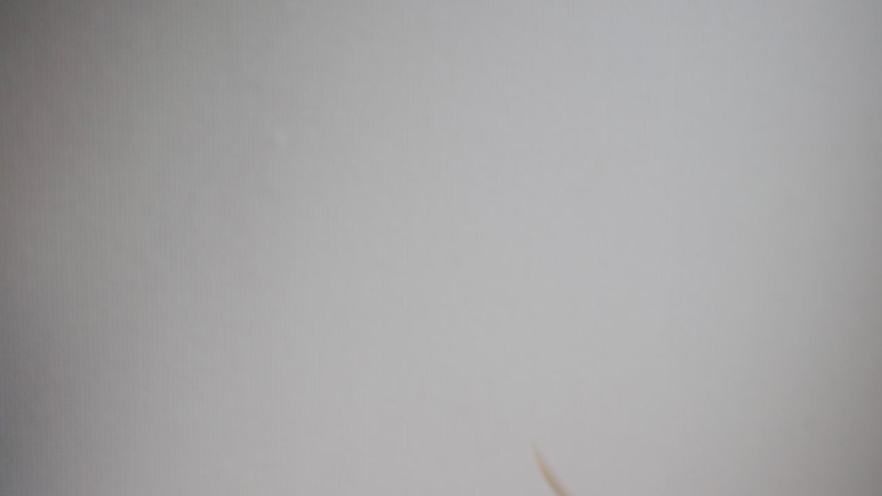 Imagem de algumas notas de dinheiro caindo sobre o