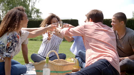 amigos adultos jóvenes en un picnic bebiendo y hablando