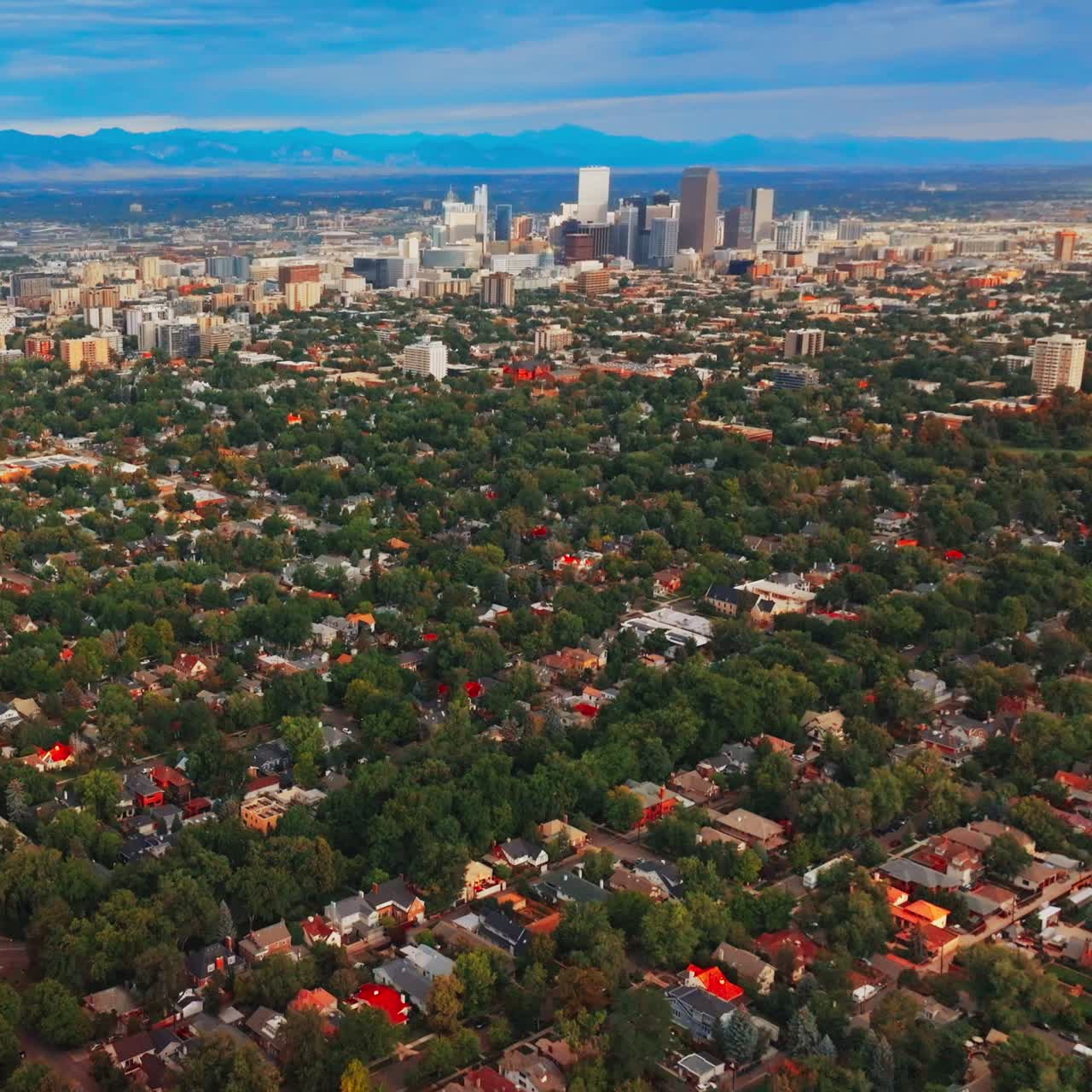 Densely built city scenery with lots of green trees. Panorama of Denver, Colorado with few skyscrapers standing out from usual architecture. Blue line of mountains in horizon at backdrop