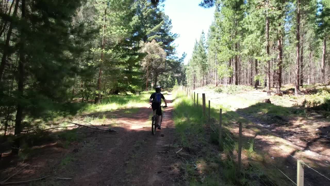 ciclistas de montaña montando en un sendero en un bosque de pinos desde un dron sígueme