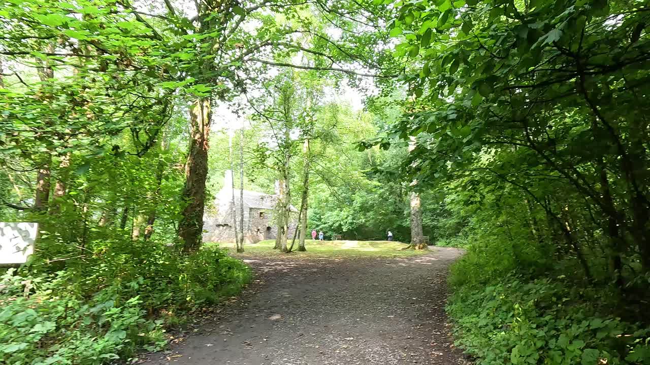 울창한 숲을 가로질러 조용한 산책