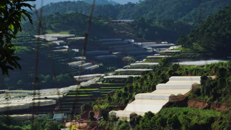 greenhouses on terracing at da lat in vietnam