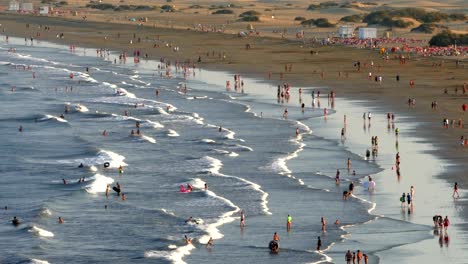 aerial view of the english beach, canary islands.