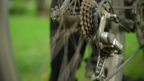 close-up of person standing next to parked bicycle in grassy field, the individual lifts the rear tire slightly and pedals briefly, causing the tire to rotate, the background is blurred