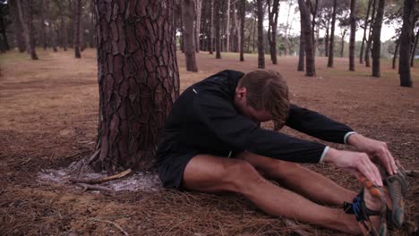 man stretching arms to legs with pine tree forest surrounding him