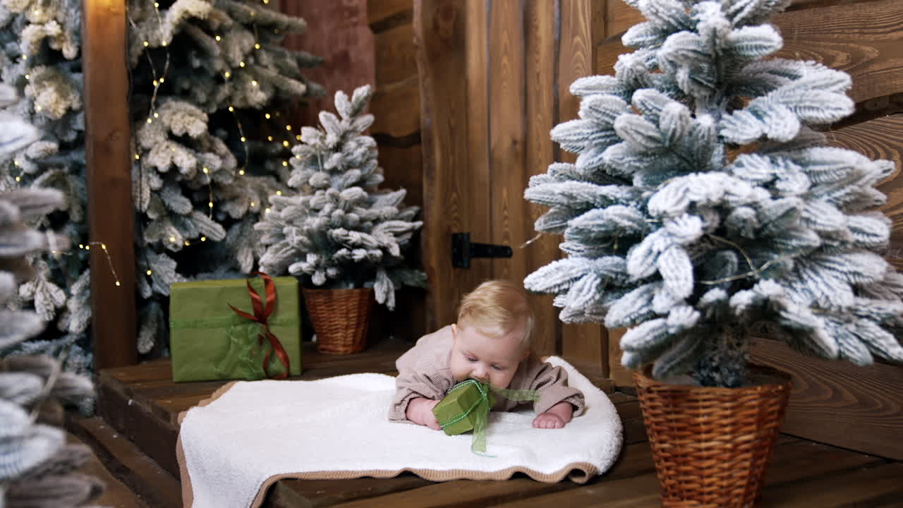 Adorable blond infant lies on the soft plaid among the fir trees. Cute baby pulls the gift box to his mouth.