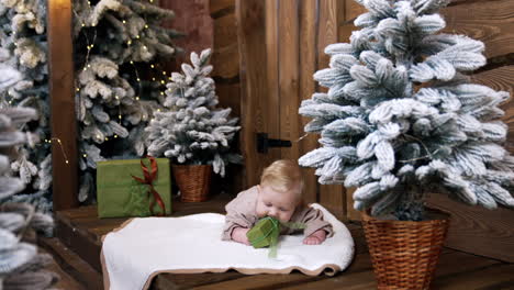 adorable blond infant lies on the soft plaid among the fir trees. cute baby pulls the gift box to his mouth.