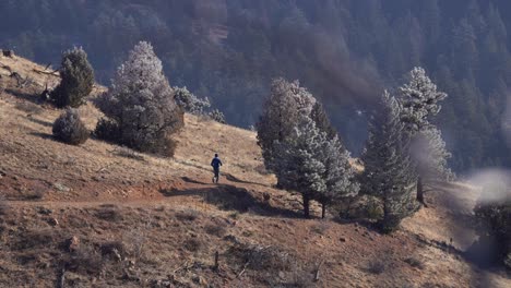 person running in rugged trail in the rocky mountains