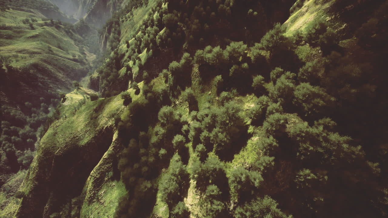 Serene greenery flourishing among rugged hillsides at dawn in a remote valley