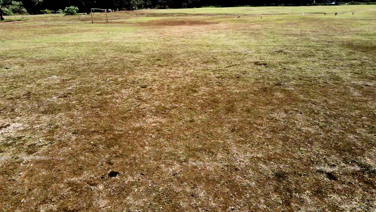 visión del avión no tripulado- áfrica bosque- áfrica incendio de matorrales