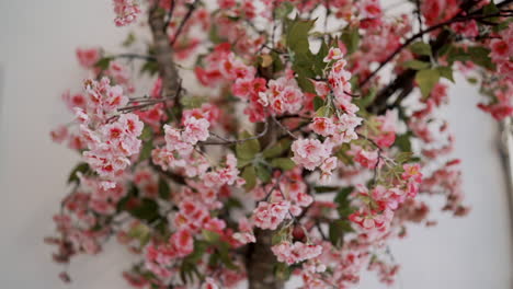 Blühende-Rosa-Frühlingszweige.-Blühend