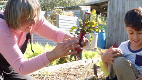 una abuela y un nieto de dos razas recogiendo verduras en un jardín soleado, en cámara lenta