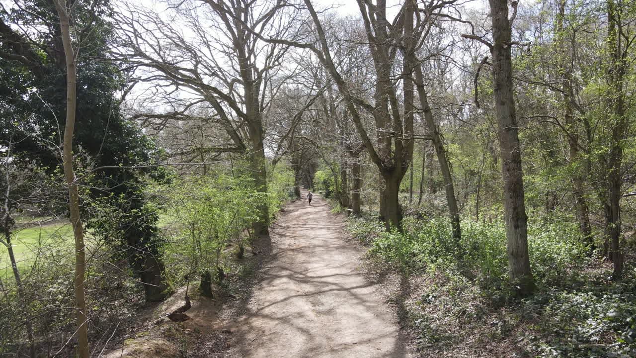 Aerial Running Shot Of Female Model Exercising in Woodland. 4k Drone Shot From Above. Health Fitness And Cardio Training.