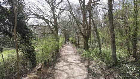 aerial running shot of female model exercising in woodland. 4k drone shot from above. health fitness and cardio training.