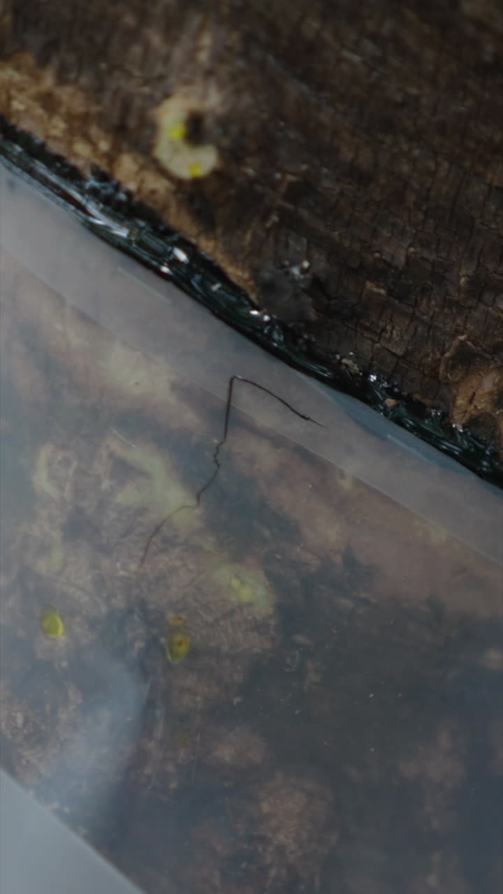 Nahaufnahme einer abstrakten Wassertextur