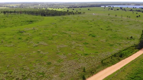 Aerial-Shot-of-old-dirt-road-beside-the-lake