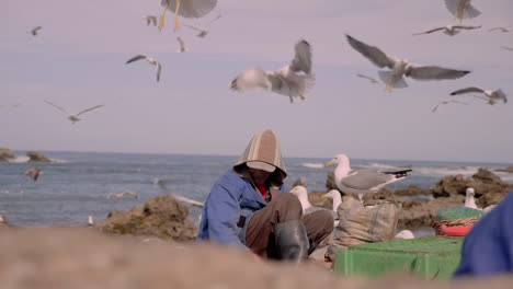 Pescador-Clasifica-Los-Peces-En-El-Malecón,-Rodeado-De-Decenas-De-Gaviotas-Hambrientas