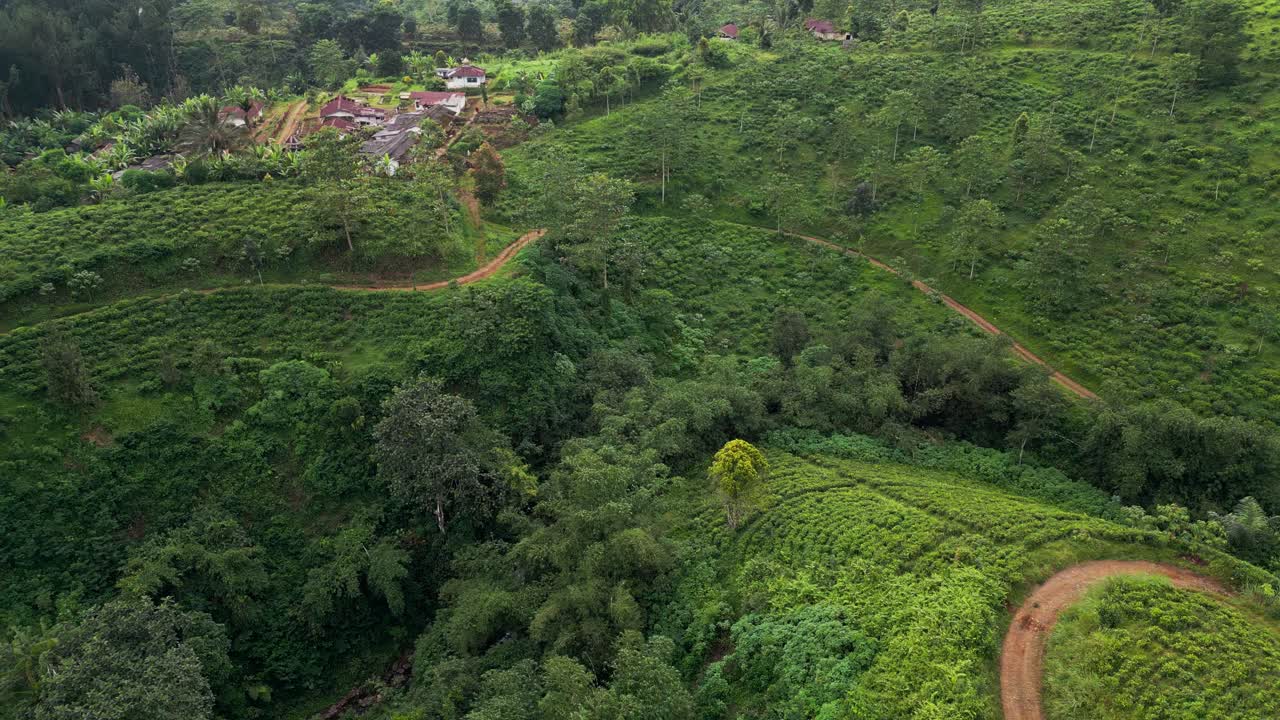 Dronebeelden van theeplantages op grote hoogte in Indonesië met gecultiveerde heuvels, geometrische gewaslay-outs en een smalle weg die door groen landbouwgebied loopt met een klein dorp zichtbaar op de heuvel.