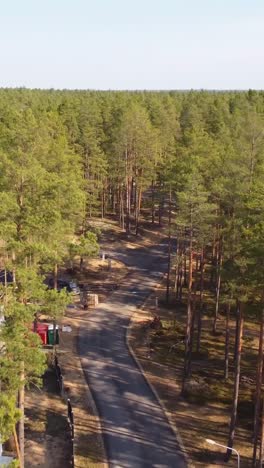 vertical view of road though dense spruce trees in the park of riga, latvia. aerial descending shot