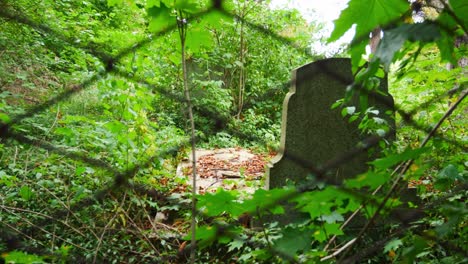 Tiro-Inclinado-Hacia-Arriba-De-Una-Tumba-En-Un-Cementerio-Abandonado